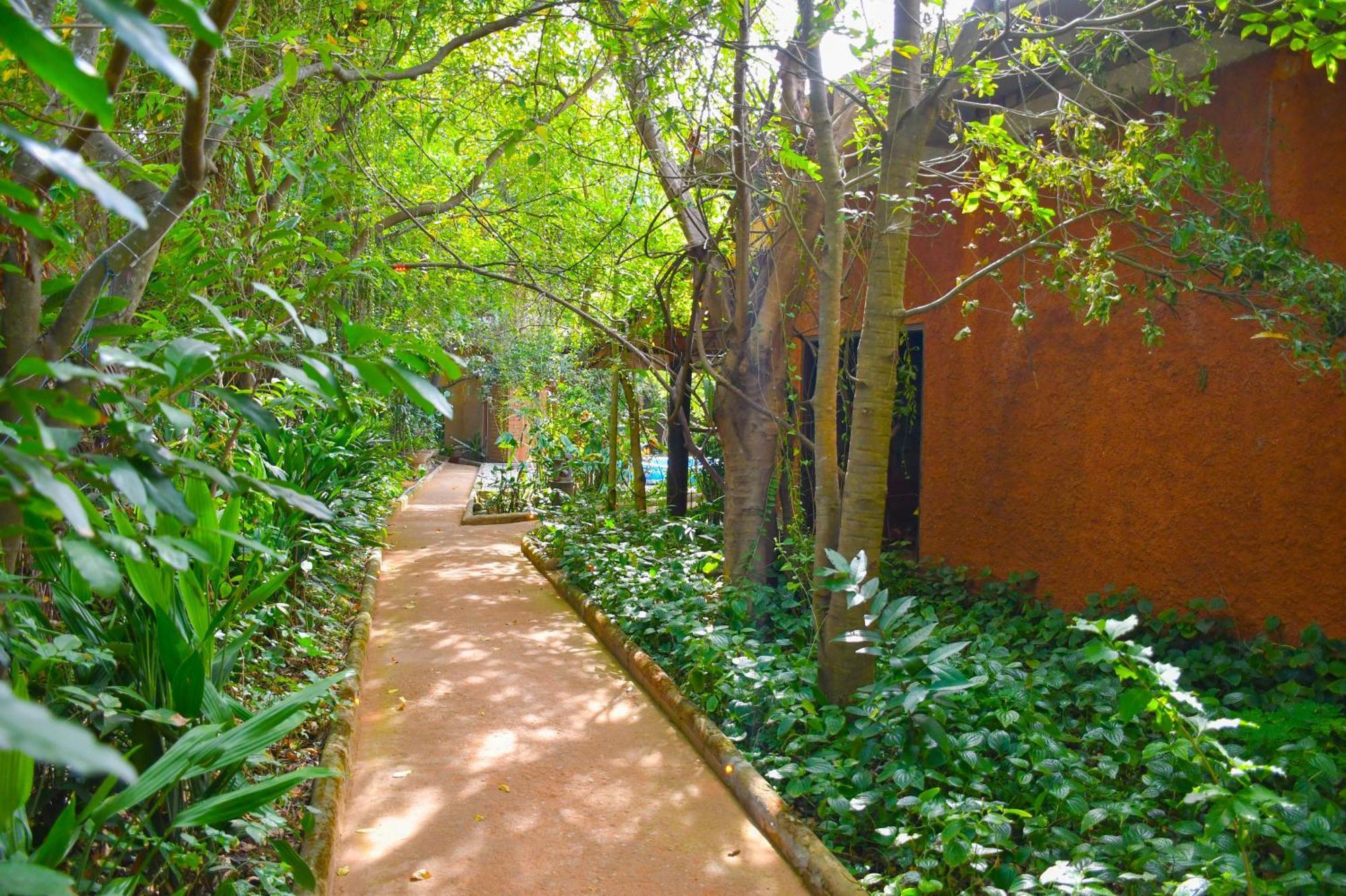 דמבולה Hotel Gala Addara מראה חיצוני תמונה